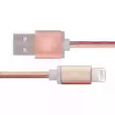 Кабель COTEetCI M30i USB-A - Lightning 1.2m Rose Gold (CS2127-1.2M-MRG)