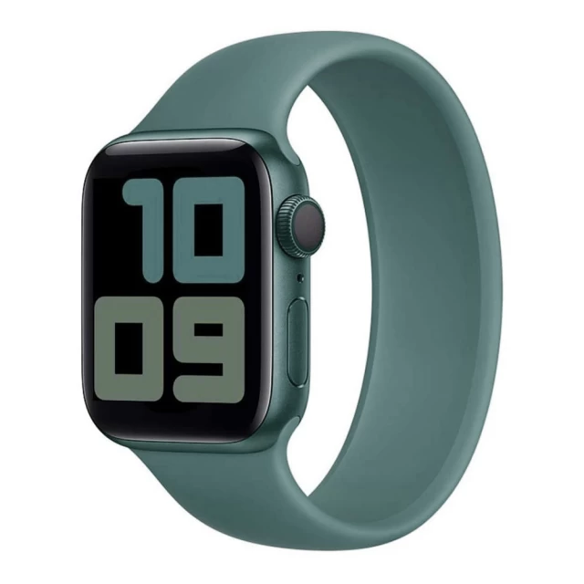 Ремешок COTEetCI W58 Liquid Silicone Band для Apple Watch 41 | 40 | 38 mm Pine Green (Size 2) (WH5300-GN-135)