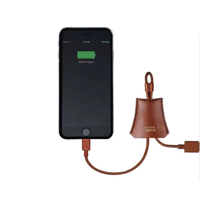 Кабель Native Union TAG Cable USB-A to Lightning Tan 0.2 m (TAG-L-TAN)