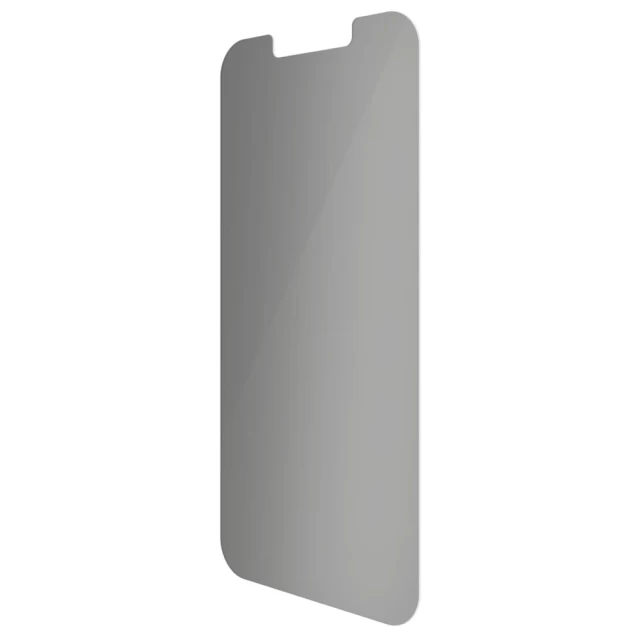 Защитное стекло PanzerGlass Standard Fit Privacy для iPhone 13 mini (P2741)