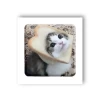 3D стикер Мем смішний кіт
