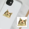 3D стикер Мем здивований котик