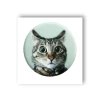 3D стикер Мем здивований кіт