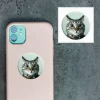 3D стікер для ґаджетів Мем здивований кіт