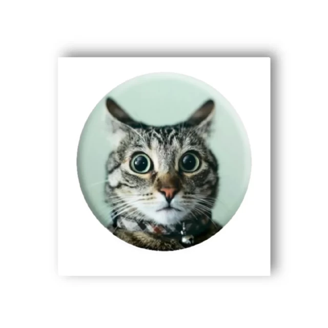 3D стикер Мем здивований кіт