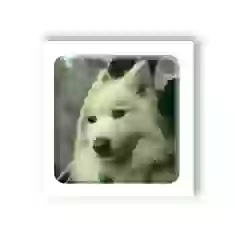 3D стікер для ґаджетів Мем сумний пес