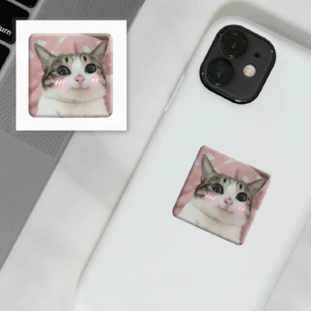 3D стікер для ґаджетів Мем милий котик