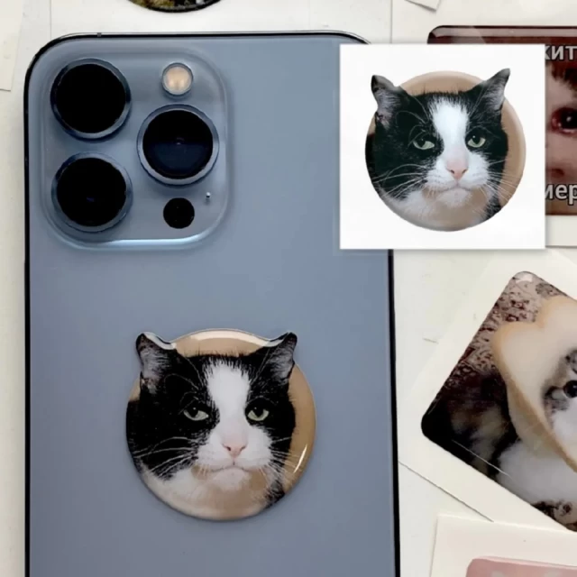 3D стикер Мем емоційний кіт