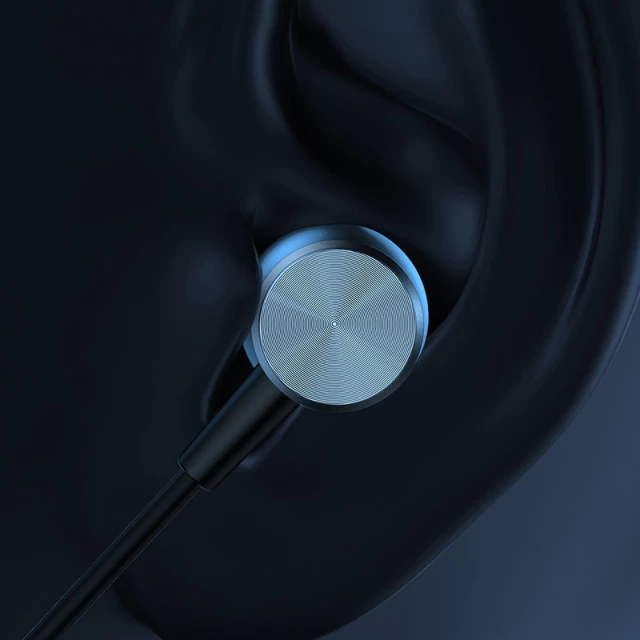 Наушники Joyroom Ear Headphones USB-C with Remote/Microphone Silver (JR-EC04-SILVER)