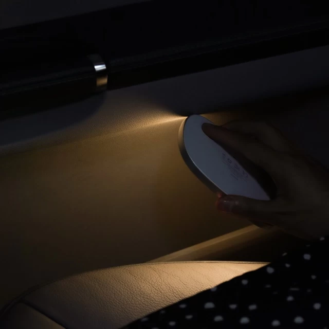 Автомобильная лампа Baseus Bright Car Reading Light White (CRYDD01-02)