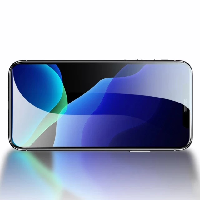 Захисне скло Baseus Full Curved Tempered Glass Screen Films 9H для iPhone 11/XR Black (2 Pack) (SGAPIPH61-WD01)