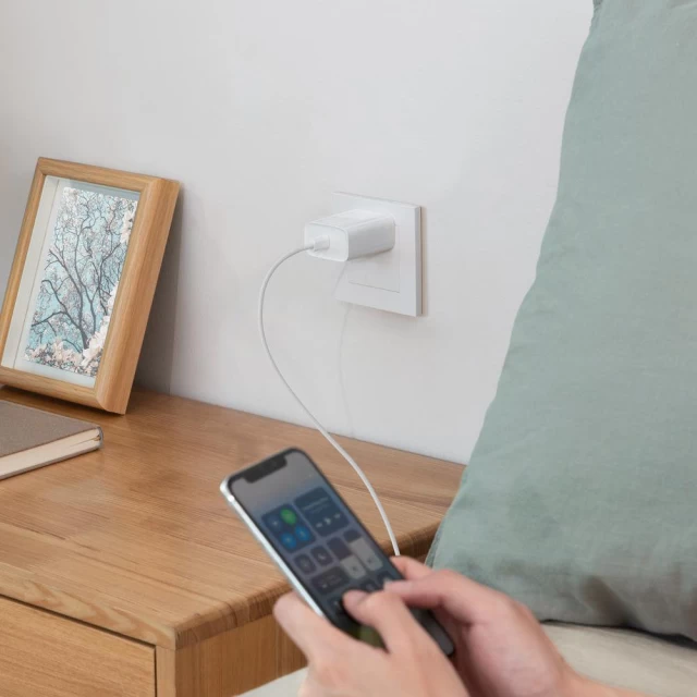 Мережевий зарядний пристрій Ugreen 30W USB-C with USB-C to USB-C Cable 2m White (90472)