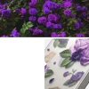 Чохол Ringke Fusion для iPhone 14 Transparent Purple Rose (FD633E29)