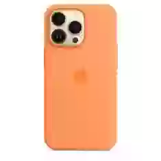 Чехол Silicone Case для iPhone 13 Pro Max Marigold without MagSafe (iS)