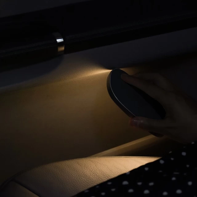 Автомобильная лампа Baseus Reading Light Black (CRYDD01-01)